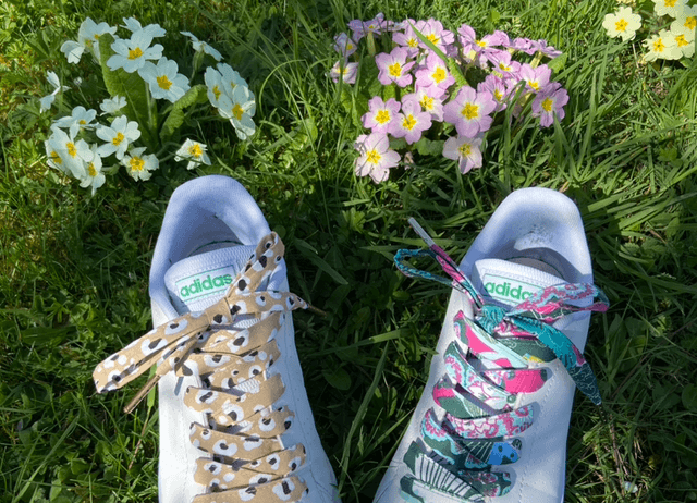 Lacets originaux 