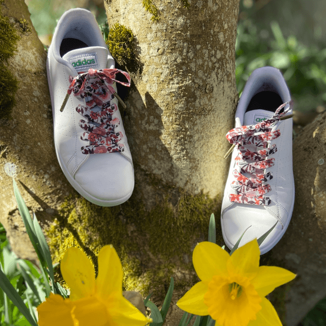 Lacets originaux 